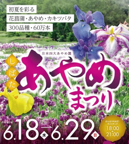 令和7年 しばたあやめまつり 6月18日～6月29日 開催！