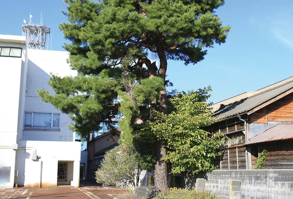 喜八郎 旅立ちの松（材甚旅館跡地）